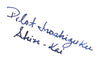 Pilot Iroshizuku Shin-kai - 50ml Bottled Ink