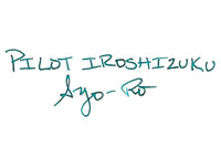 Pilot Iroshizuku Syo-ro - 50ml Bottled Ink