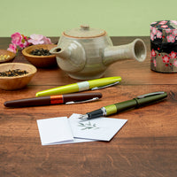 Pilot Metropolitan Fountain Pen - Roasted Tea Brown (Limited Edition)