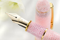 Platinum #3776 Celluloid Fountain Pen - Cherry Blossom