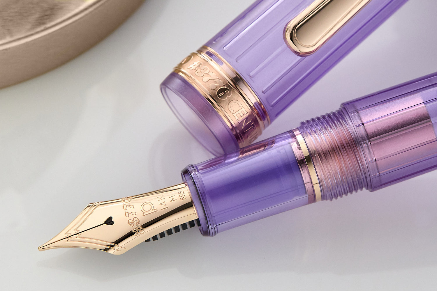 Platinum 3776 Century Nice Pur Fountain Pen – Truphae