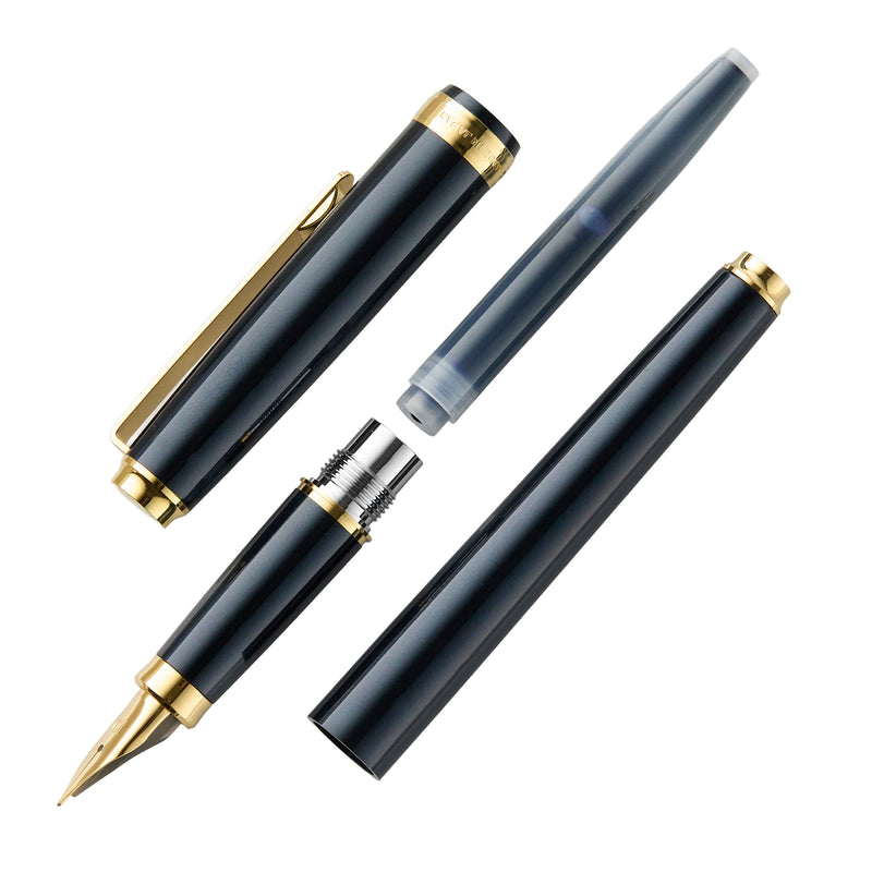Platinum BISO Fountain Pen - Nebula Black
