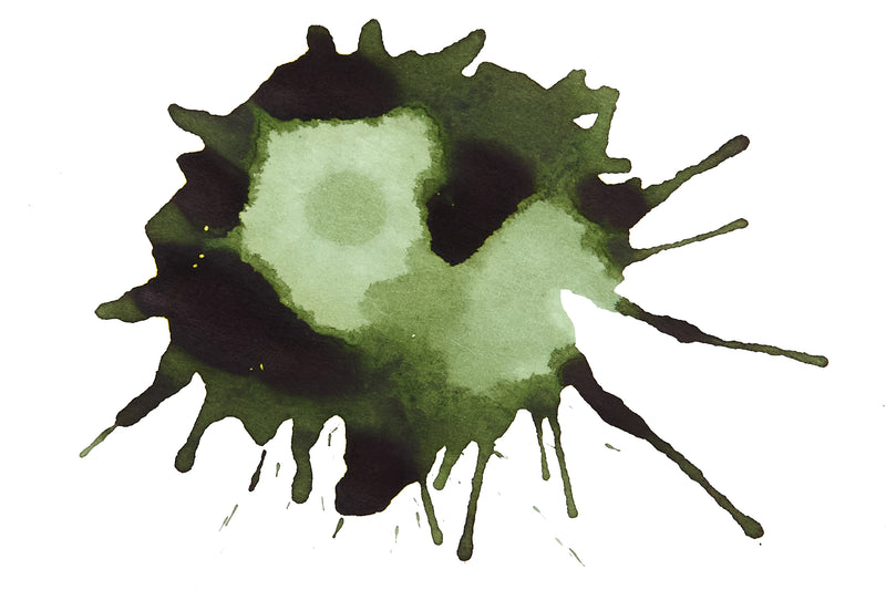 Platinum Classic Forest Black - 60ml Bottled Ink