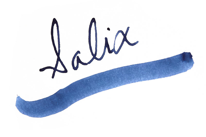Rohrer & Klingner Salix (iron gall) - Ink Sample