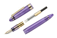 Sailor 1911L Pen of the Year Fountain Pen - Grape Expectations