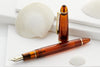 Sailor 1911S Fountain Pen - Fried Egg Jellyfish