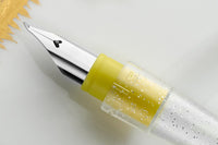 Sailor Dipton Pen & Ink Set - Ripe Fig