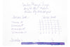 Sailor Manyo Fuji - 50ml Bottled Ink