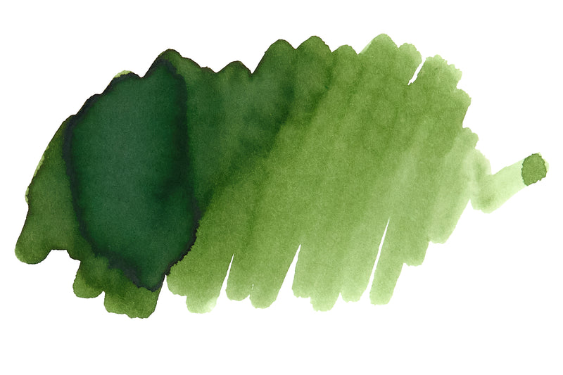 Sailor Japanese Tea Ceremony - 20ml Bottled Ink (Limited Edition)