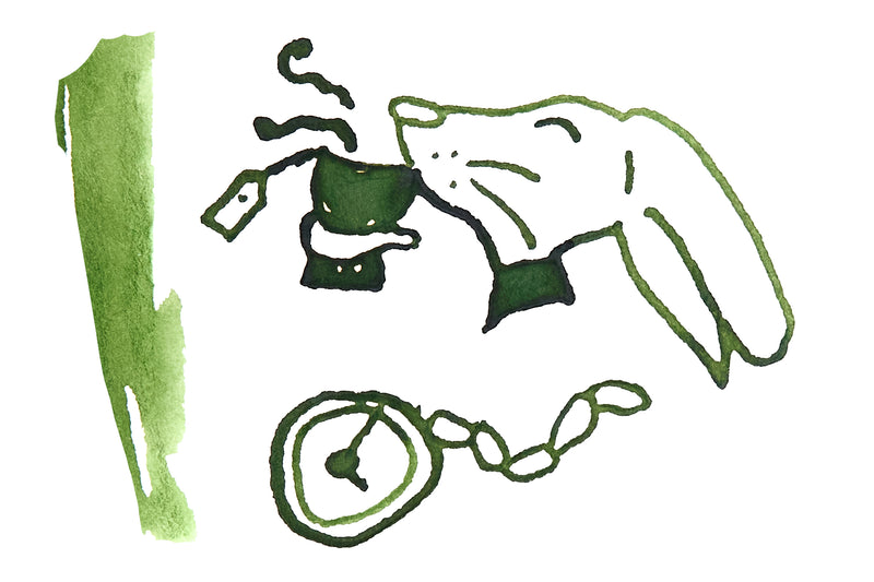 Sailor Japanese Tea Ceremony - 20ml Bottled Ink (Limited Edition)