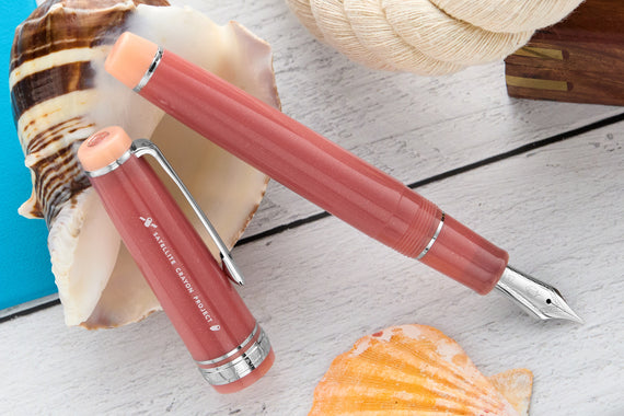 Sailor Pro Gear Fountain Pen -  Syvash (Limited Edition)