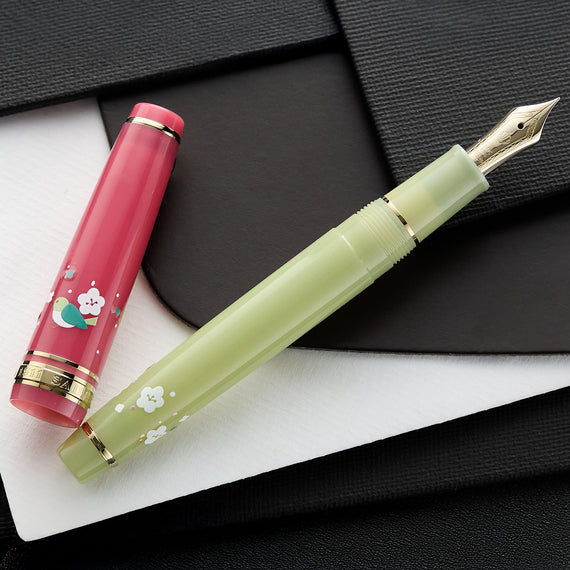 A pink and green fountain pen with floral designs on a black and white surface.