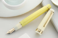 Sailor Pro Gear Fountain Pen - Passion Fruit