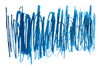 Sailor Seiboku Pigmented Blue Black - 50ml Bottled Ink