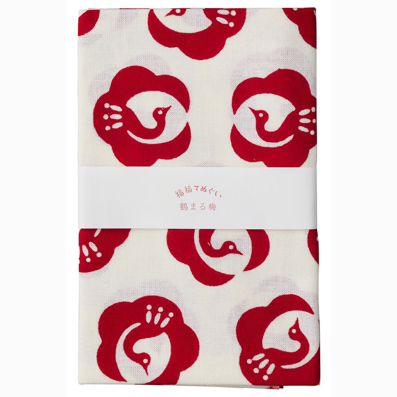 Sailor X KAMAWANU Pro Gear Fountain Pen - Tsurumaru-ume (Limited Edition)