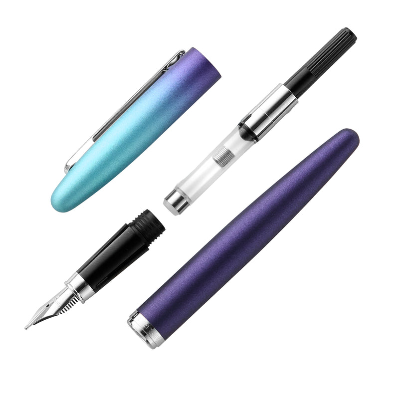 Sheaffer VFM Fountain Pen - Expressions