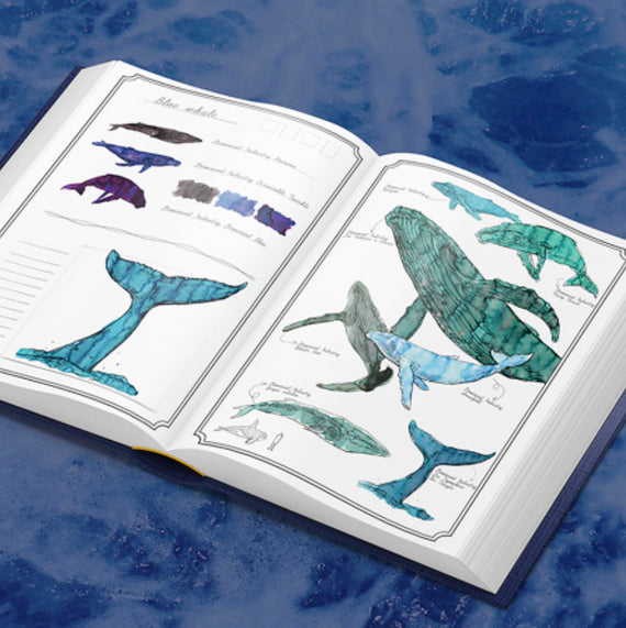 Open book with illustrations of whales on a blue watercolor background