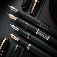 Visconti Homo Sapiens Fountain Pen - Dark Age (14k Nib)