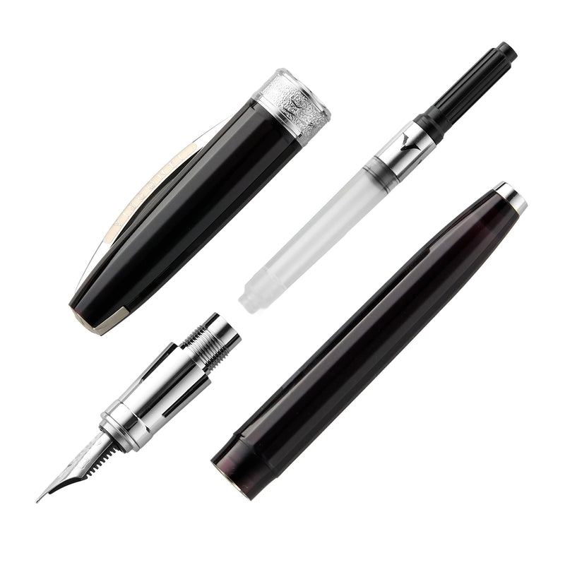 Visconti Michelangelo Fountain Pen - Black
