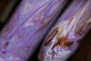 Visconti Rembrandt S Fountain Pen - Lilac