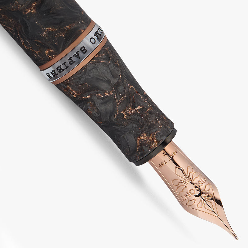 Visconti Homo Sapiens Fountain Pen - Carbon Rose (Limited Edition)