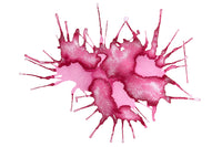 Wearingeul The Elf of the Rose - 30ml Bottled Ink