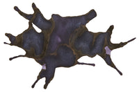 Wearingeul The Raven - Ink Sample