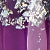Luminous Mauve