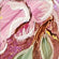 Peach Blossom