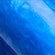 Blue Morpho