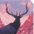 National Parks C