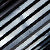 Tortoiseshell-Black