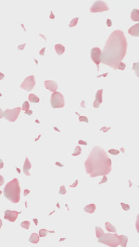 Pelikan M200 Fountain Pen - Cherry Blossom (Special Edition)