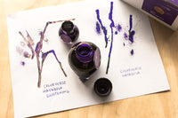 Colorverse Hayabusa & Hayabusa Glistening - 65ml + 15ml Bottled Ink (Special Edition)