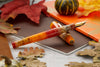 Esterbrook Camden Fountain Pen - Oktoberfest (Limited Edition)