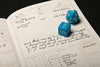 Field Notes Notebooks - 5E Character Journal