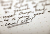 Field Notes Notebooks - 5E Character Journal