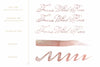 Ferris Wheel Press The Fluttering Heart (2023 Limited Edition) - 38ml Bottled Ink