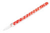 Herbin Straight Glass Dip Pen - Rouge Caroubier