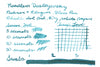 Noodler's Dostoyevsky - Ink Sample
