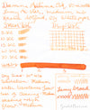 Diamine Autumn Oak - 30ml Bottled Ink