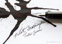 Pilot Iroshizuku Take-sumi - Ink Sample