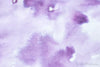 Herbin Poussiere de Lune - 30ml Bottled Ink
