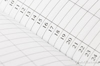 Traveler's Notebook Regular Refill 017 - Monthly Planner