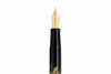 Namiki Yukari Maki-e Fountain Pen - Turtles