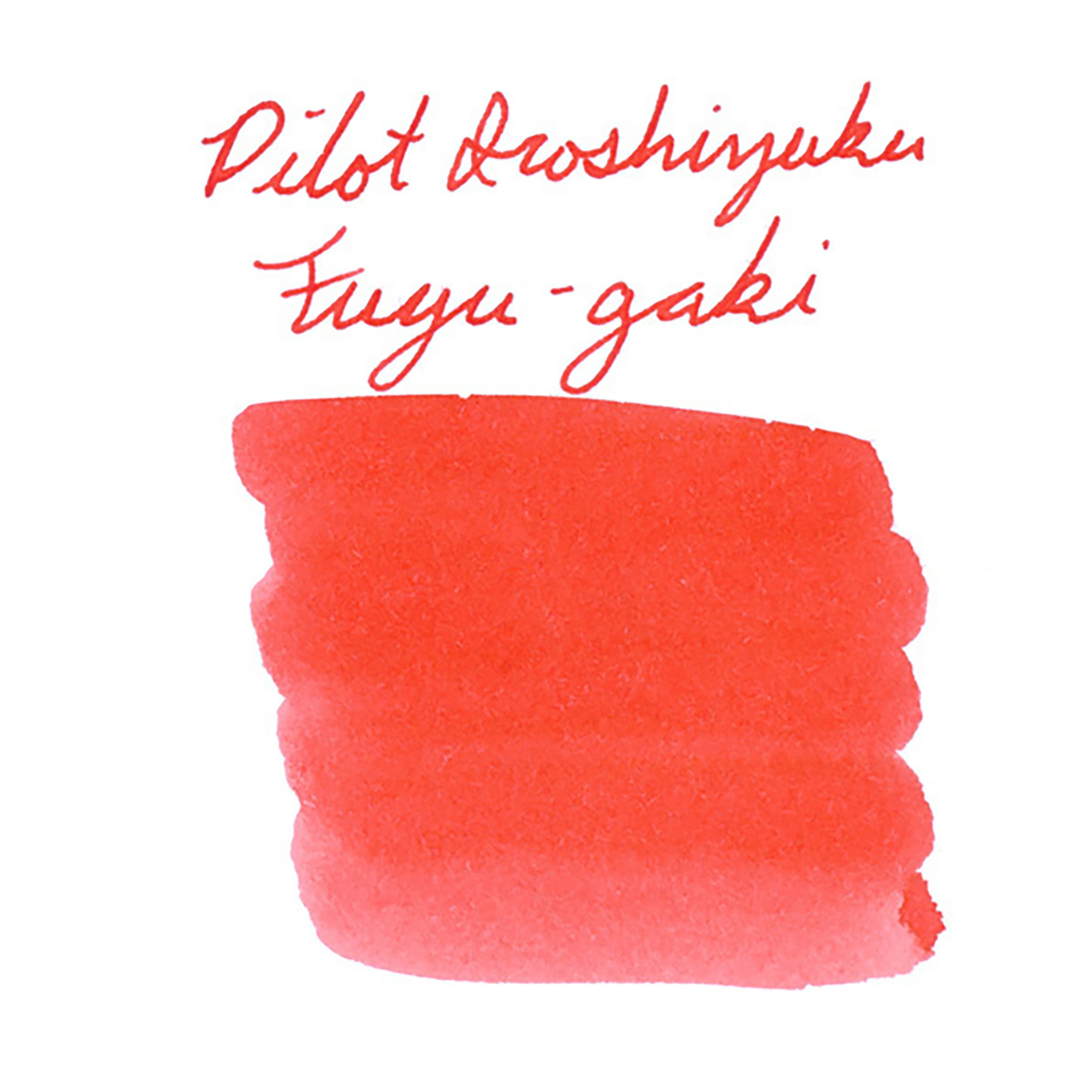 Pilot Ink-15 Iroshizuku Fuyu-gaki (Winter Persimmon) - Image 2