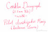 Pilot Iroshizuku Momiji - Ink Sample