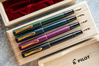 Pilot Ishime Fountain Pen - Burgundy