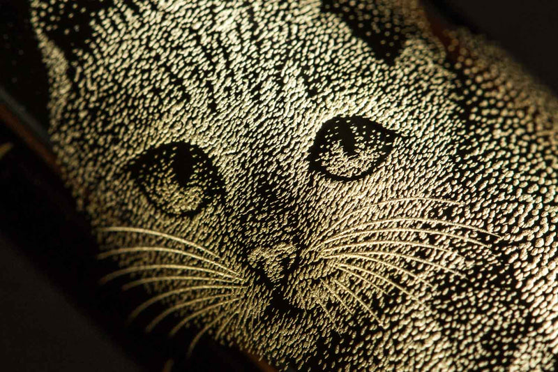 Namiki Chinkin Fountain Pen - Cat