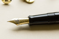 Namiki Chinkin Fountain Pen - Pine Tree